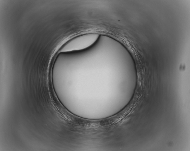X0000095540196200712141031