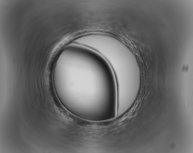 X0000095540197200712141031