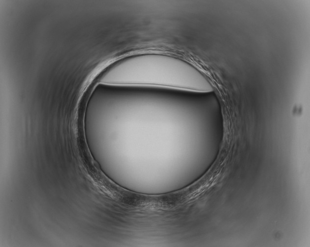 X0000095540200200712141031