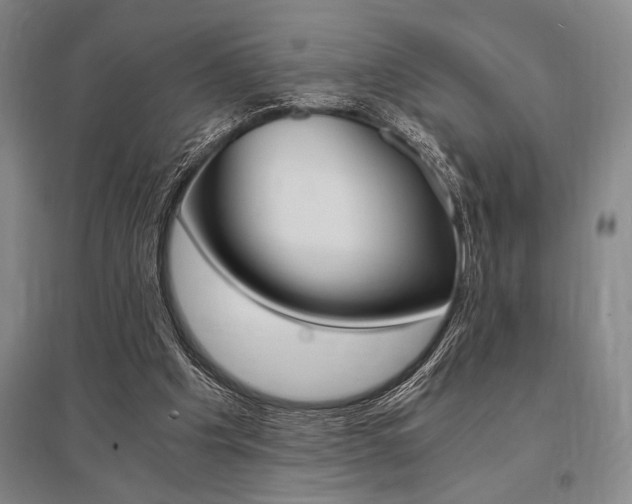 X0000095540201200712141031