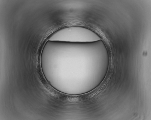 X0000095540202200712141031