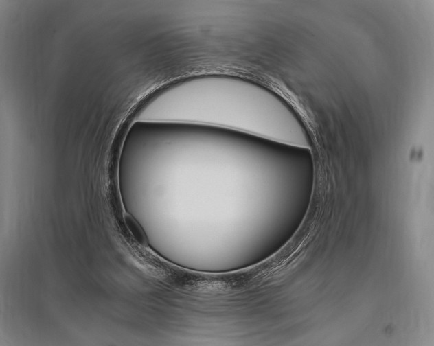 X0000095540203200712141031