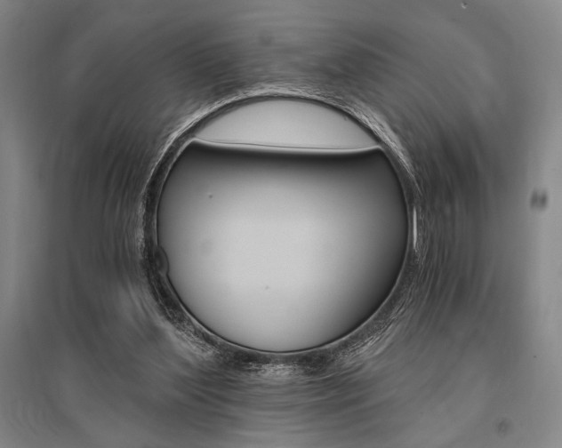 X0000095540204200712141031