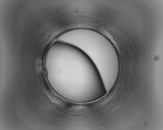 X0000095540205200712141031