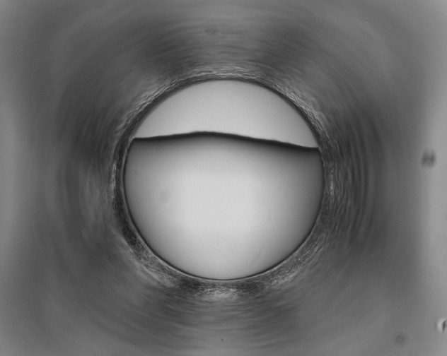 X0000095540206200712141031