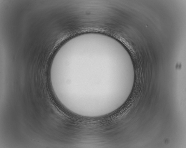 X0000095540207200712141031