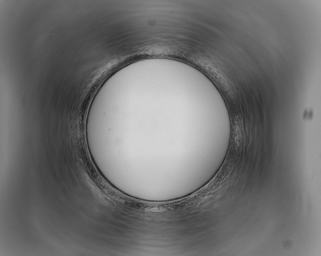 X0000095540208200712141031