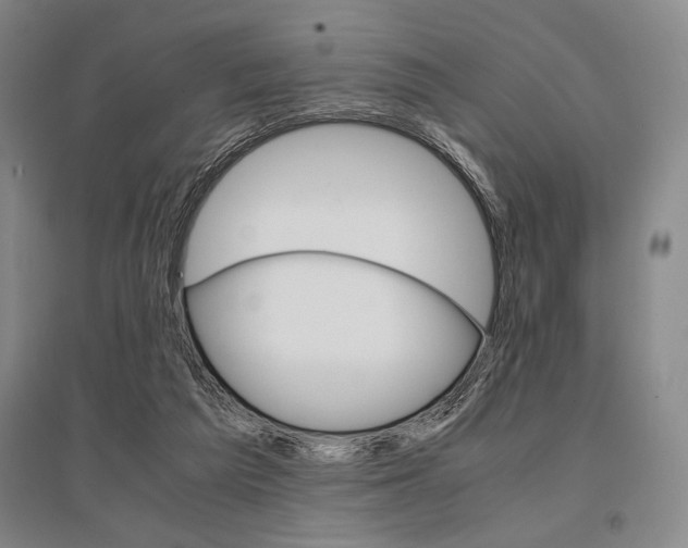 X0000095540209200712141031
