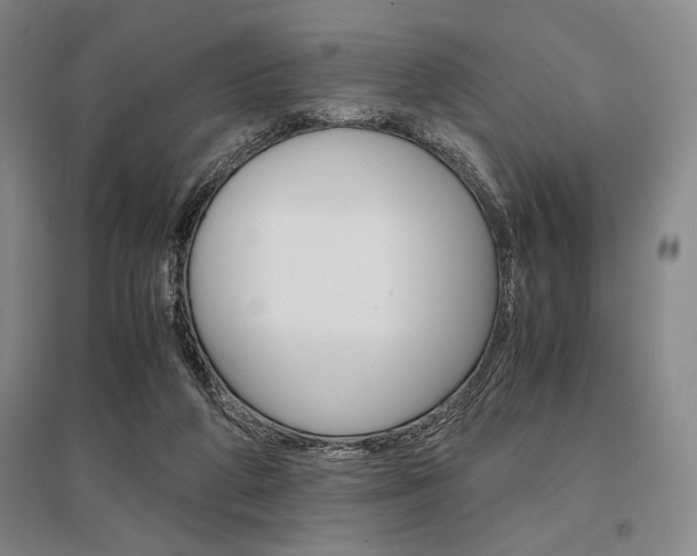 X0000095540210200712141031