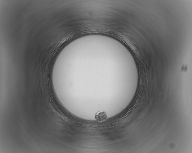 X0000095540211200712141031