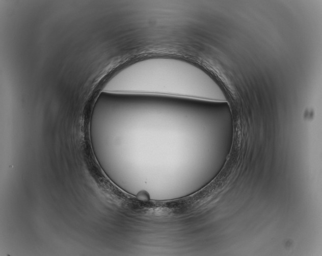 X0000095540212200712141031