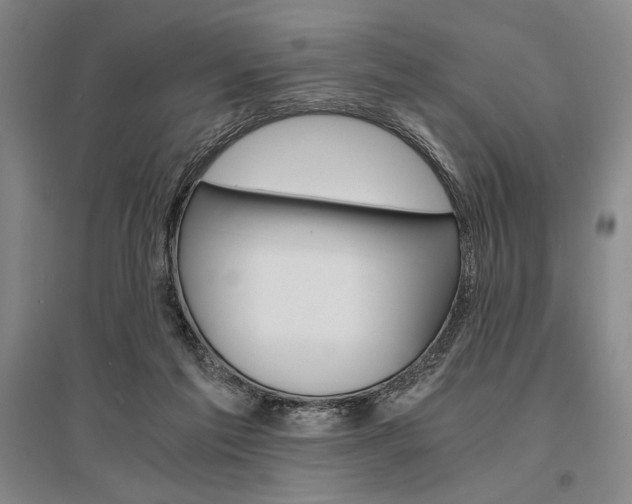 X0000095540213200712141031