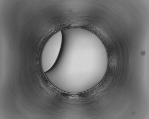 X0000095540214200712141031