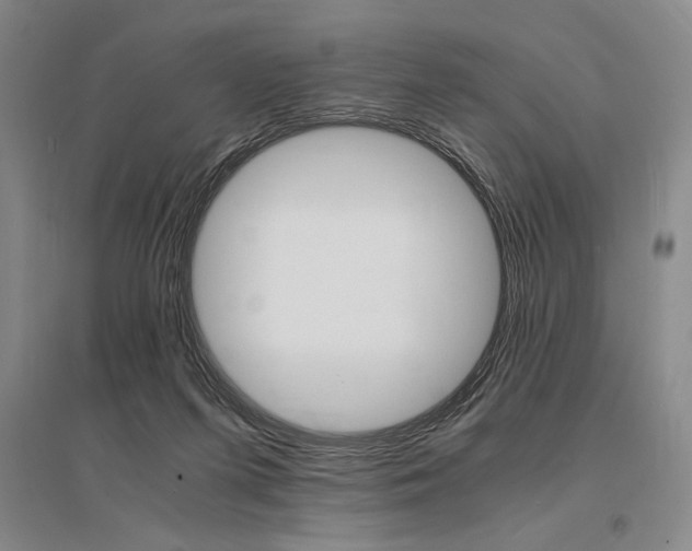X0000095540215200712141031