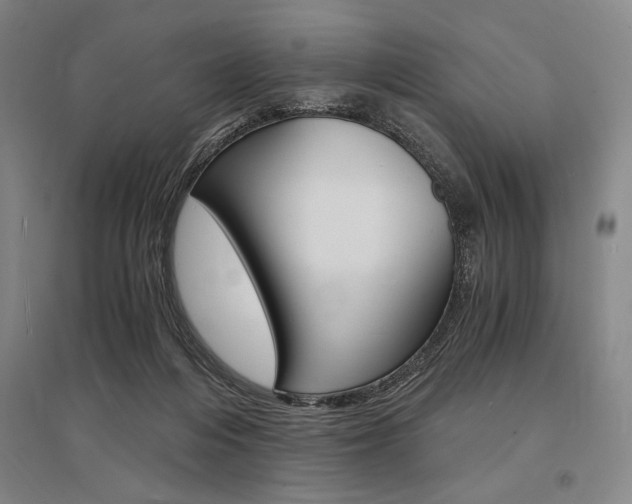 X0000095540216200712141031