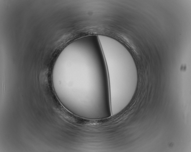X0000095540217200712141031