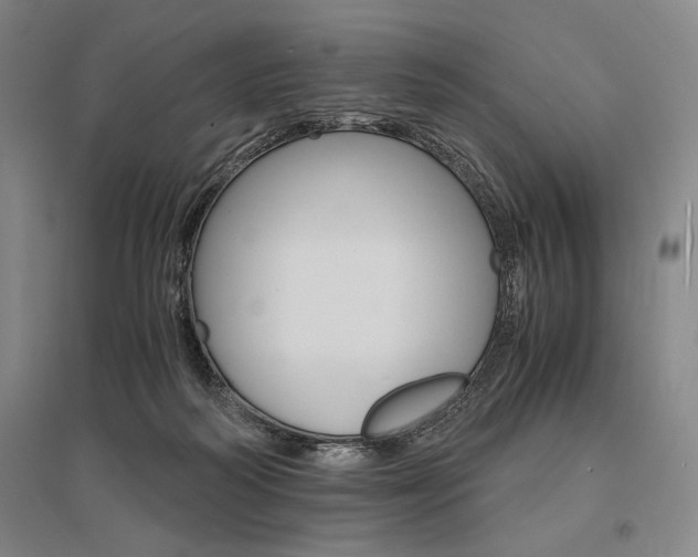 X0000095540218200712141031
