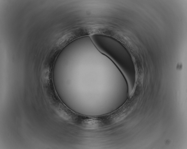 X0000095540219200712141031