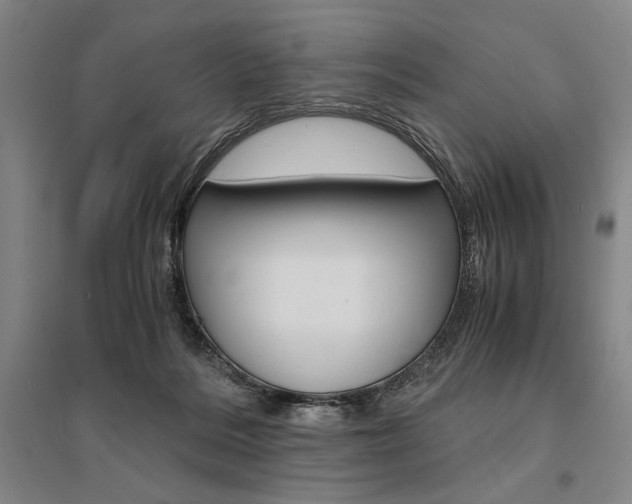X0000095540220200712141031