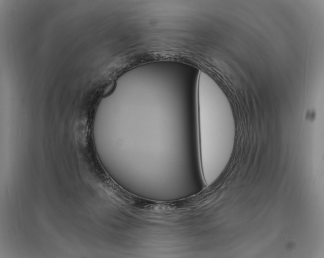 X0000095540223200712141031