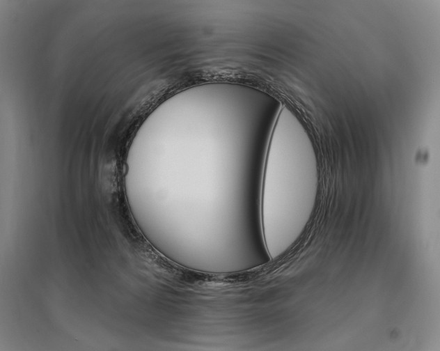 X0000095540224200712141031