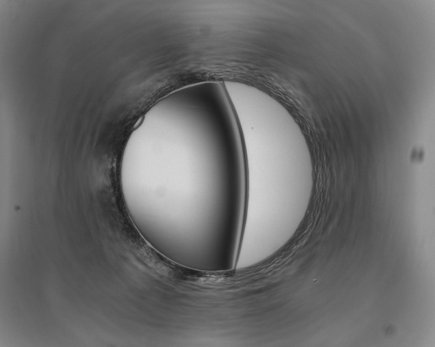 X0000095540225200712141031