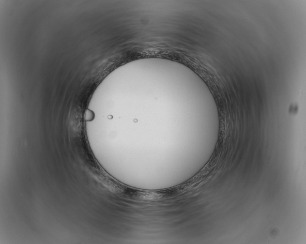 X0000095540226200712141031