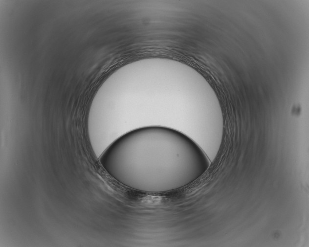X0000095540227200712141030