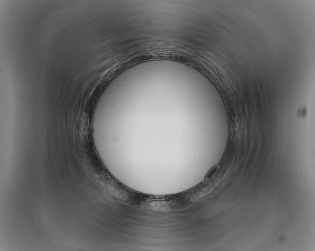 X0000095540228200712141030