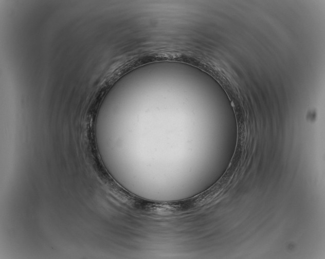 X0000095540229200712141030