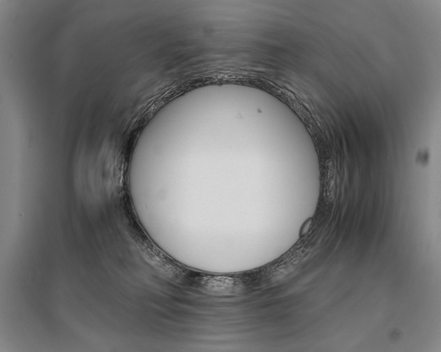 X0000095540230200712141030