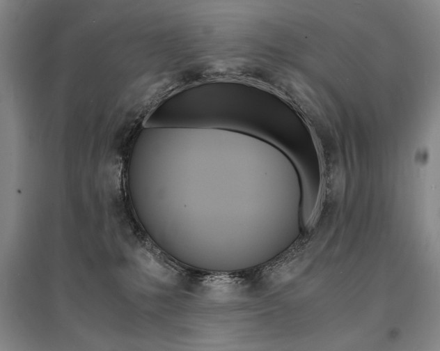 X0000095540231200712141030