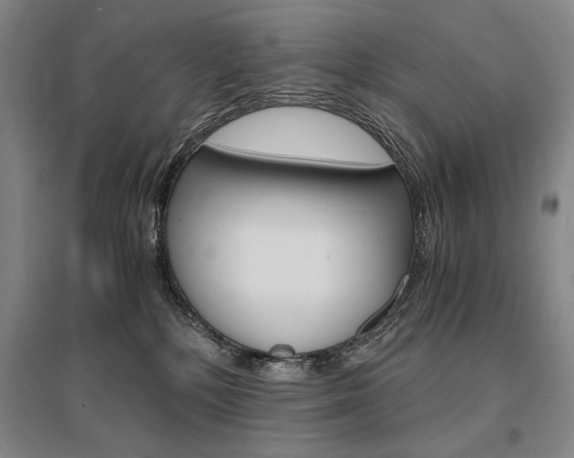 X0000095540232200712141030