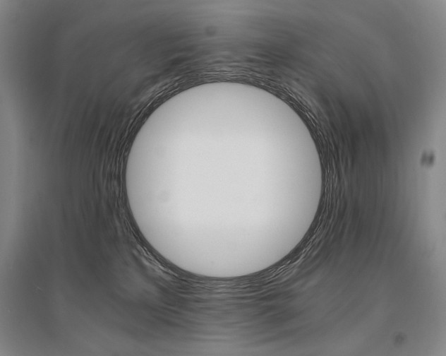 X0000095540233200712141030