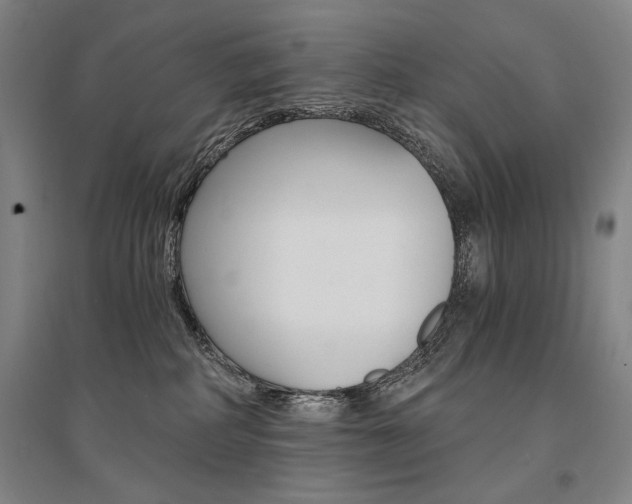 X0000095540234200712141030