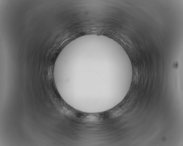 X0000095540236200712141030