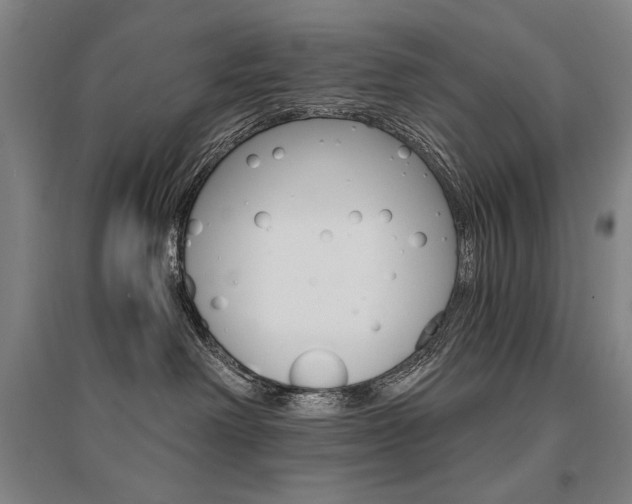 X0000095540238200712141030