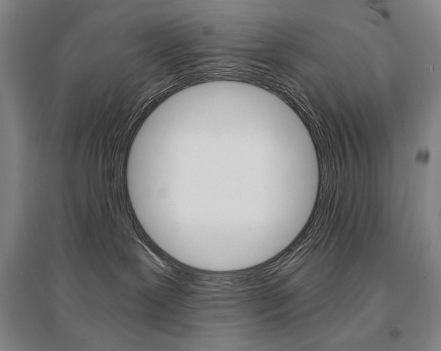 X0000095540239200712141030