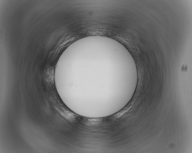 X0000095540240200712141030