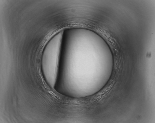 X0000095540241200712141030