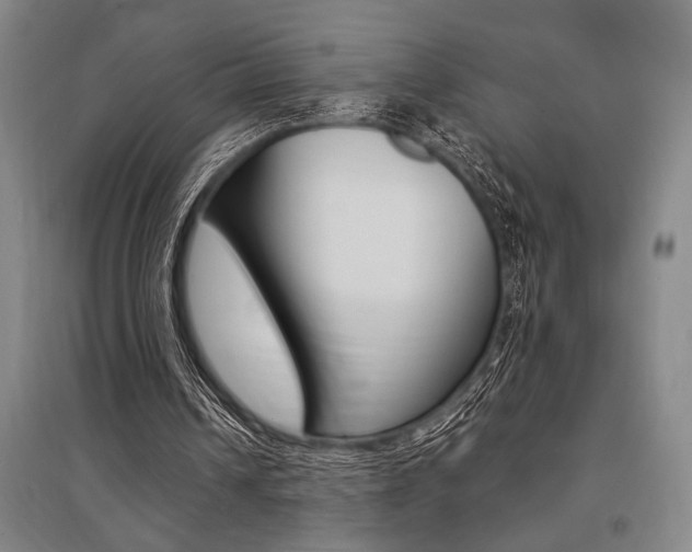 X0000095540242200712141030