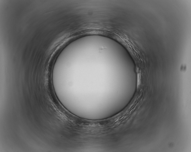 X0000095540243200712141030