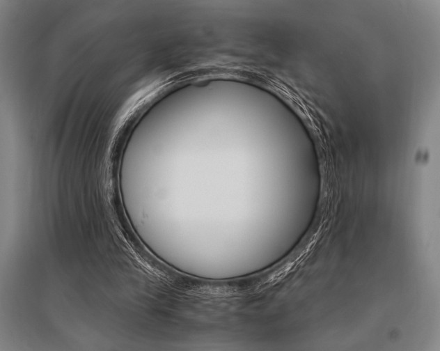 X0000095540245200712141030