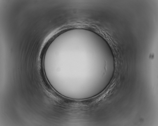 X0000095540246200712141030
