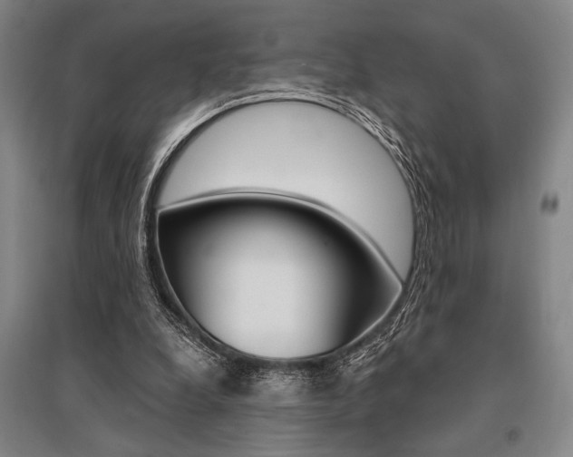 X0000095540248200712141030