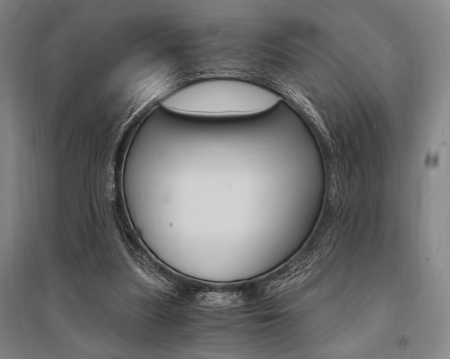 X0000095540251200712141030