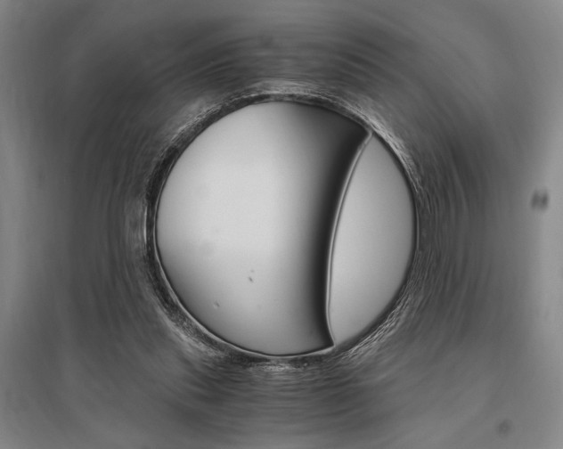 X0000095540253200712141030