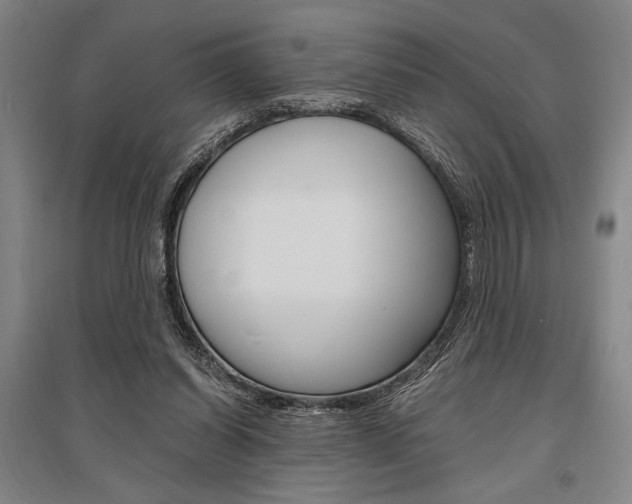 X0000095540254200712141030