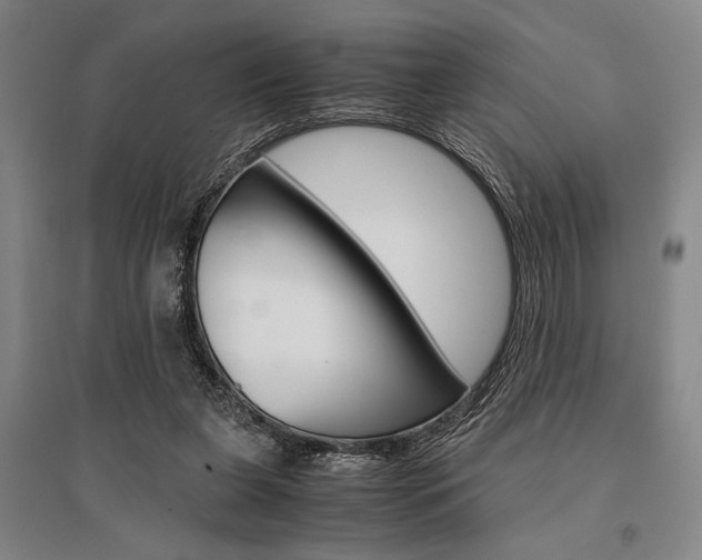 X0000095540255200712141030