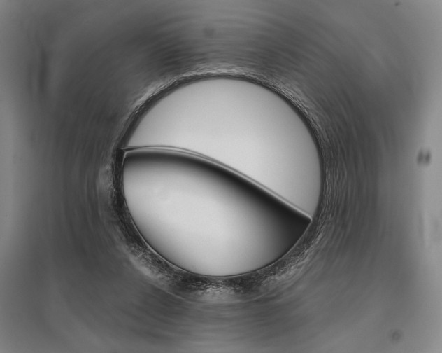 X0000095540256200712141030